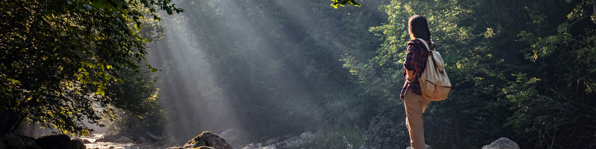 Person im Wald Person im Wald