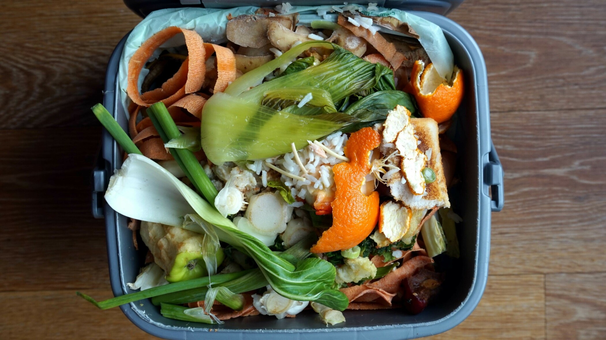 Biomüll Essensreste in einer blauen Box.