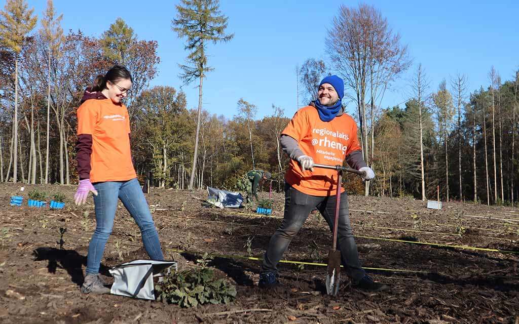 Zukunftswald 01 Zwei rhenag Mitarbeiter pflanzen Baumsetzlinge im Zukunftswald.