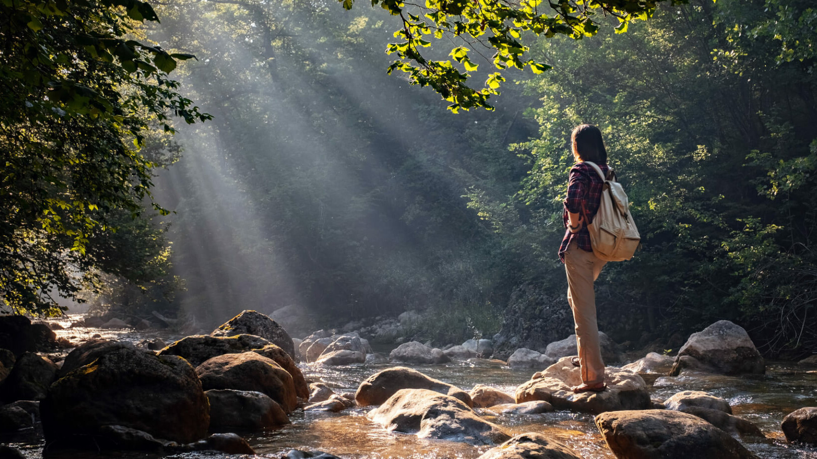 Person im Wald Person im Wald