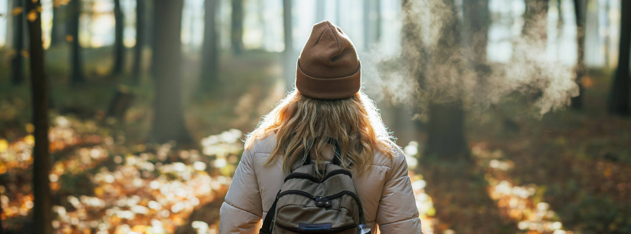 Walderlebnispfad in Siegburg Walderlebnispfad in Siegburg