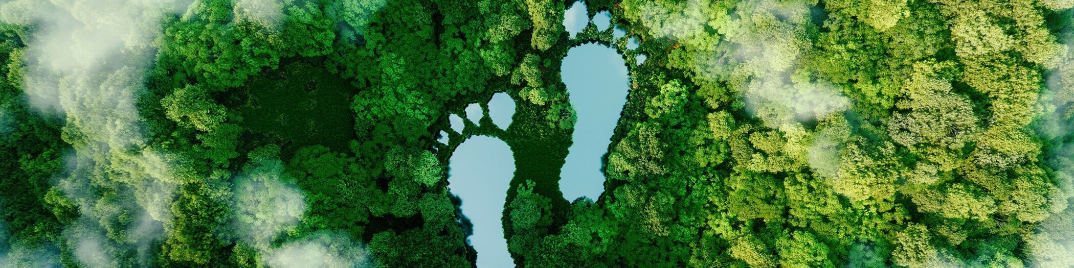 CO2 Fuß CO2 Fußabdruck