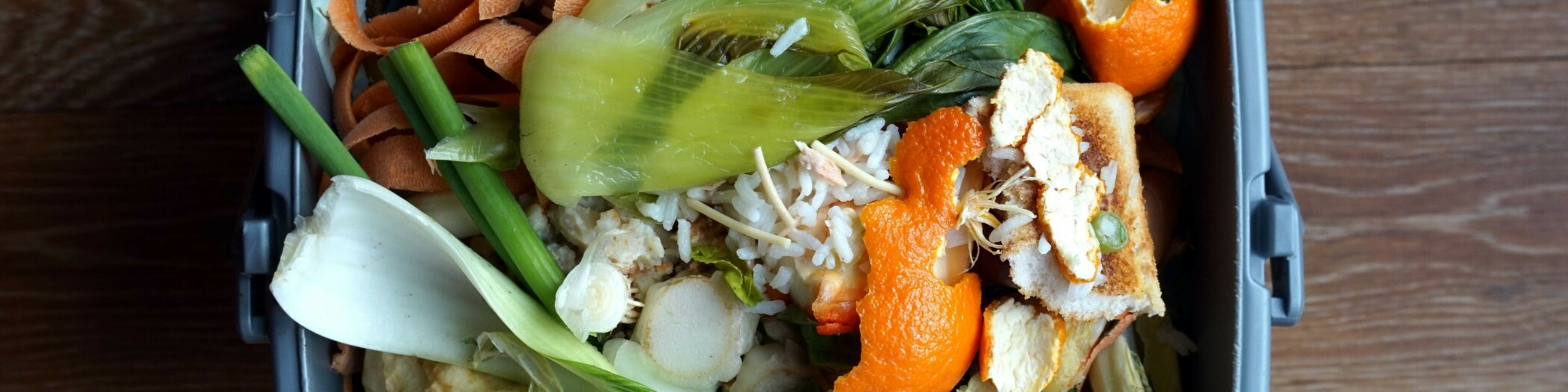 Biomüll Essensreste in einer blauen Box.