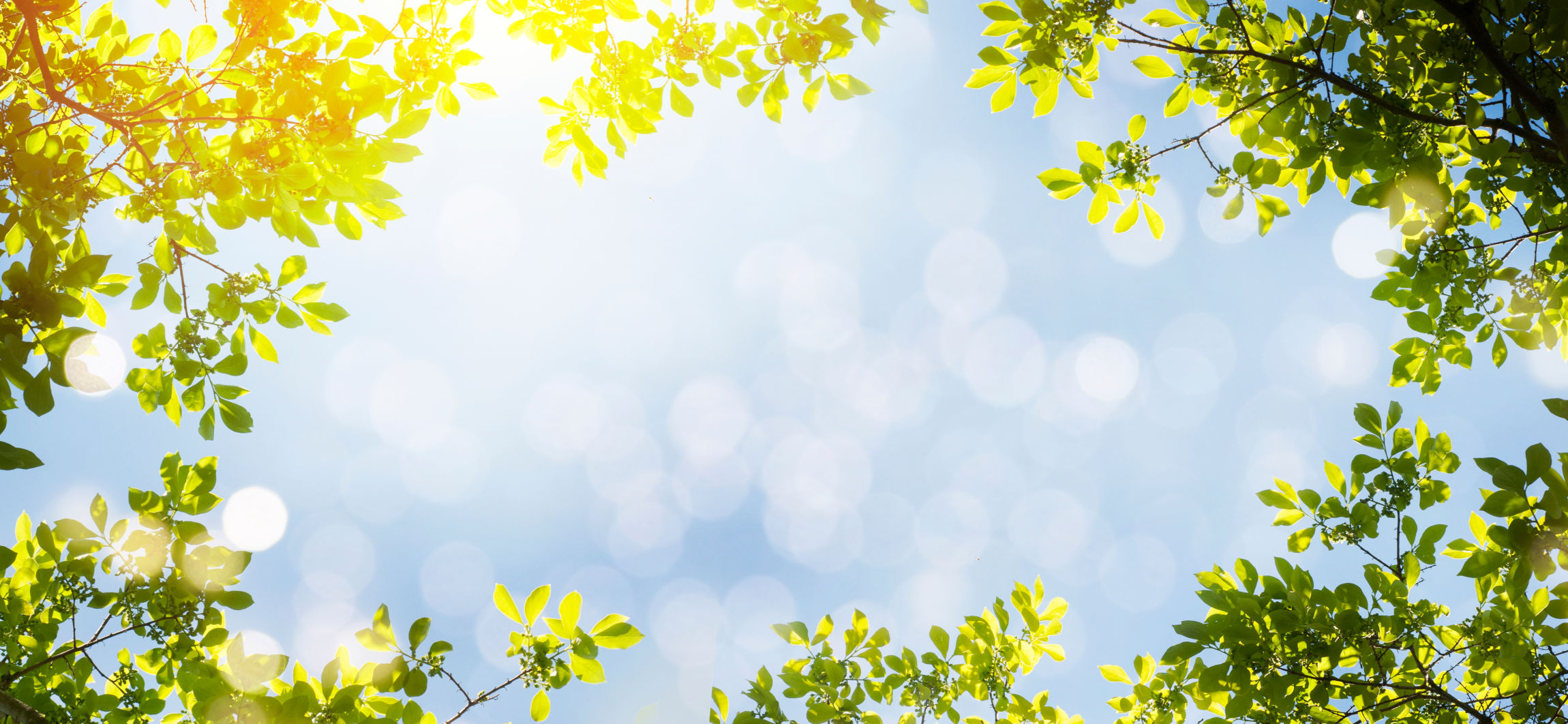 So beleben Sie Ihr Zuhause mit Energie